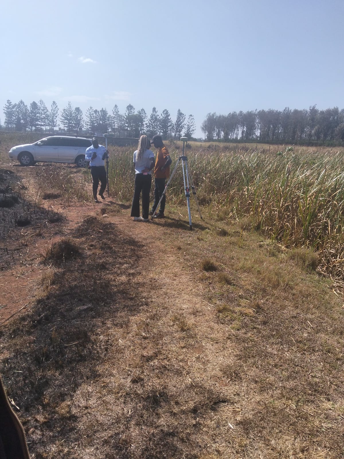 Members' field activity